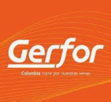 Gerfor